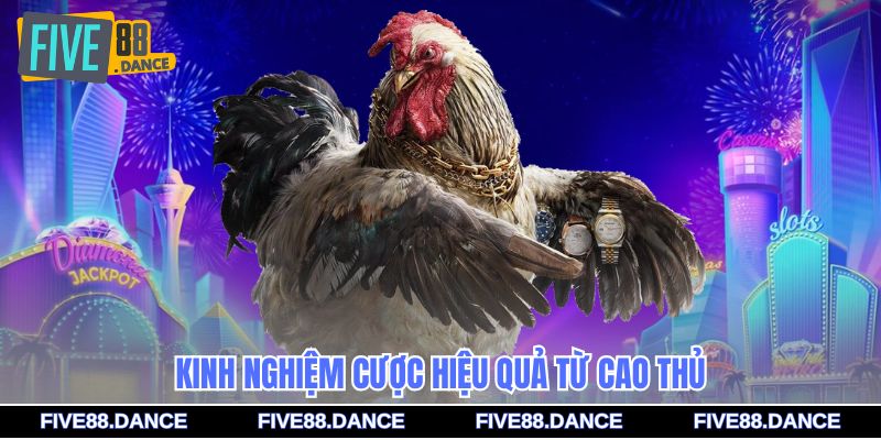 Kinh nghiệm cược hiệu quả từ cao thủ