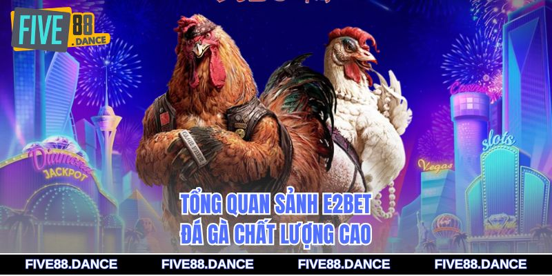 Tổng quan sảnh E2bet đá gà chất lượng cao
